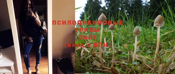 марки lsd Пересвет