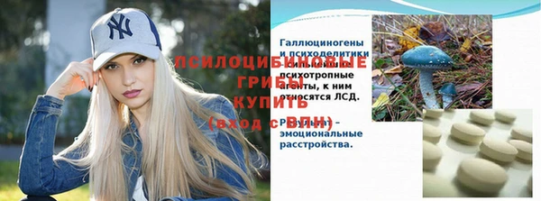 ECSTASY Пестово