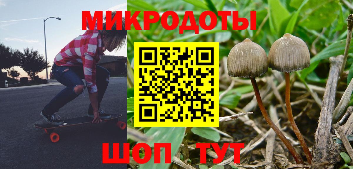 Галлюциногенные грибы мицелий  Вход с VPN  Скопин 